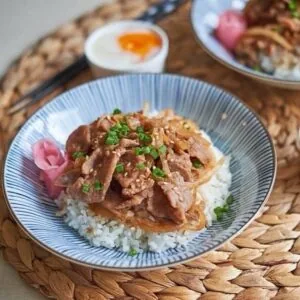 Japan Style Pork Rice